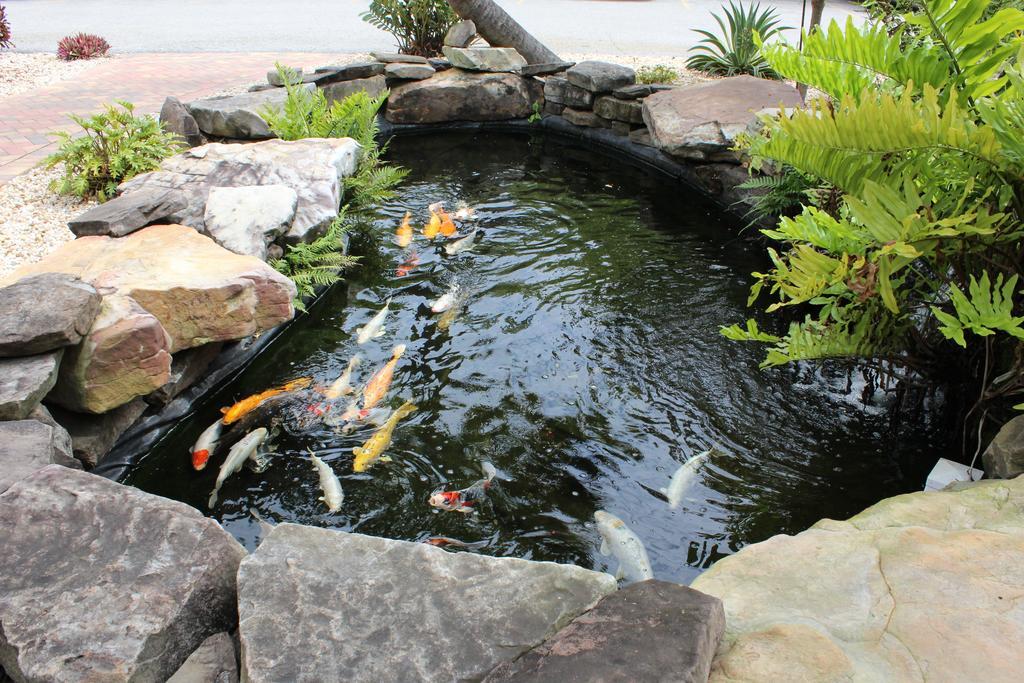 הוילה בריידנטון Horseshoe Cove מראה חיצוני תמונה